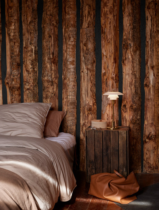 Lámpara portátil PH 2/1