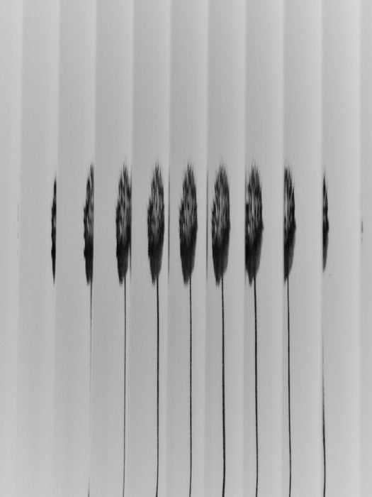 Vitrina Haze de pared alta