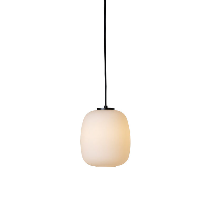 Basket Globe Ceiling Lamp