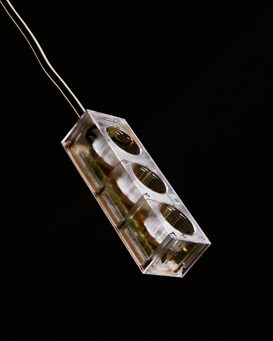 Power Bar de Pedestal