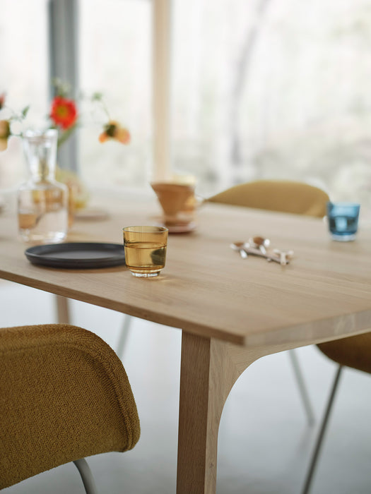 Mesa Earnest extensible