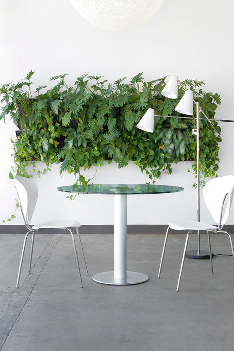 Silla Globus Polipropileno de Stua