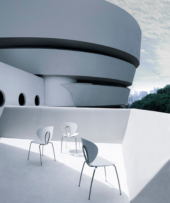 Silla Globus Polipropileno de Stua