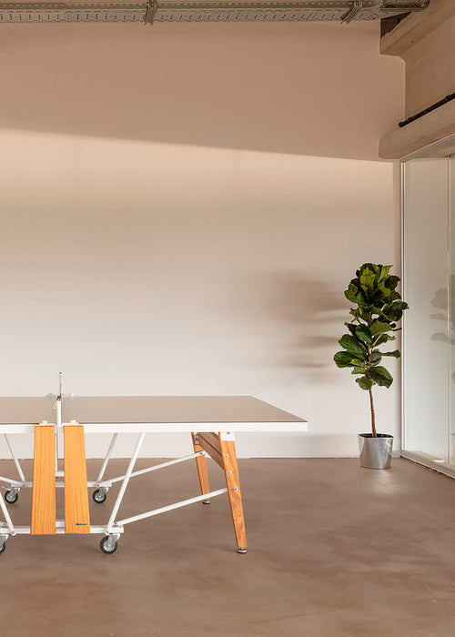 Mesa Ping Pong Plegable